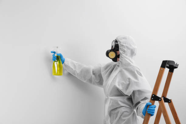 Best Mold Remediation for Healthcare Facilities  in River Park, FL